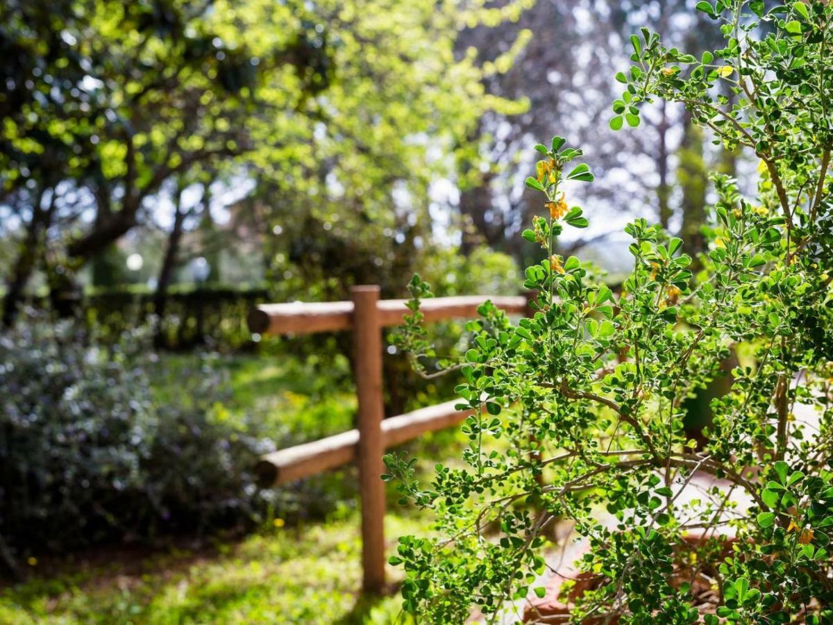Agriturismo Alberese Sasso Rosso Villa Kültér fotó